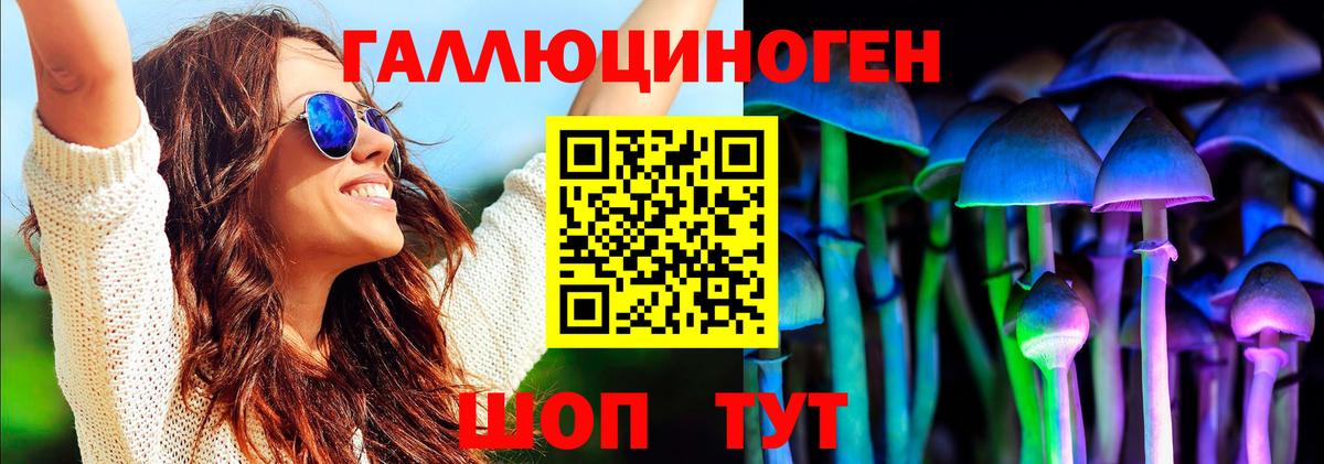 Псилоцибиновые грибы мицелий Клин